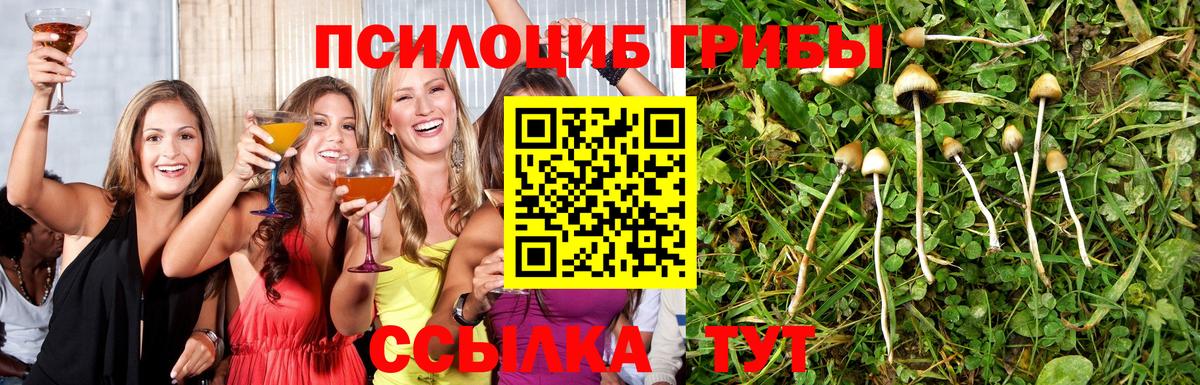 Галлюциногенные грибы ЛСД  Вход с VPN  Соликамск  Галлюциногенные грибы MAGIC MUSHROOMS 